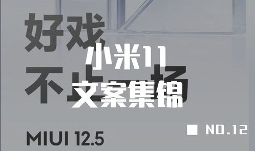 廣告文案收藏 小米11文案集錦